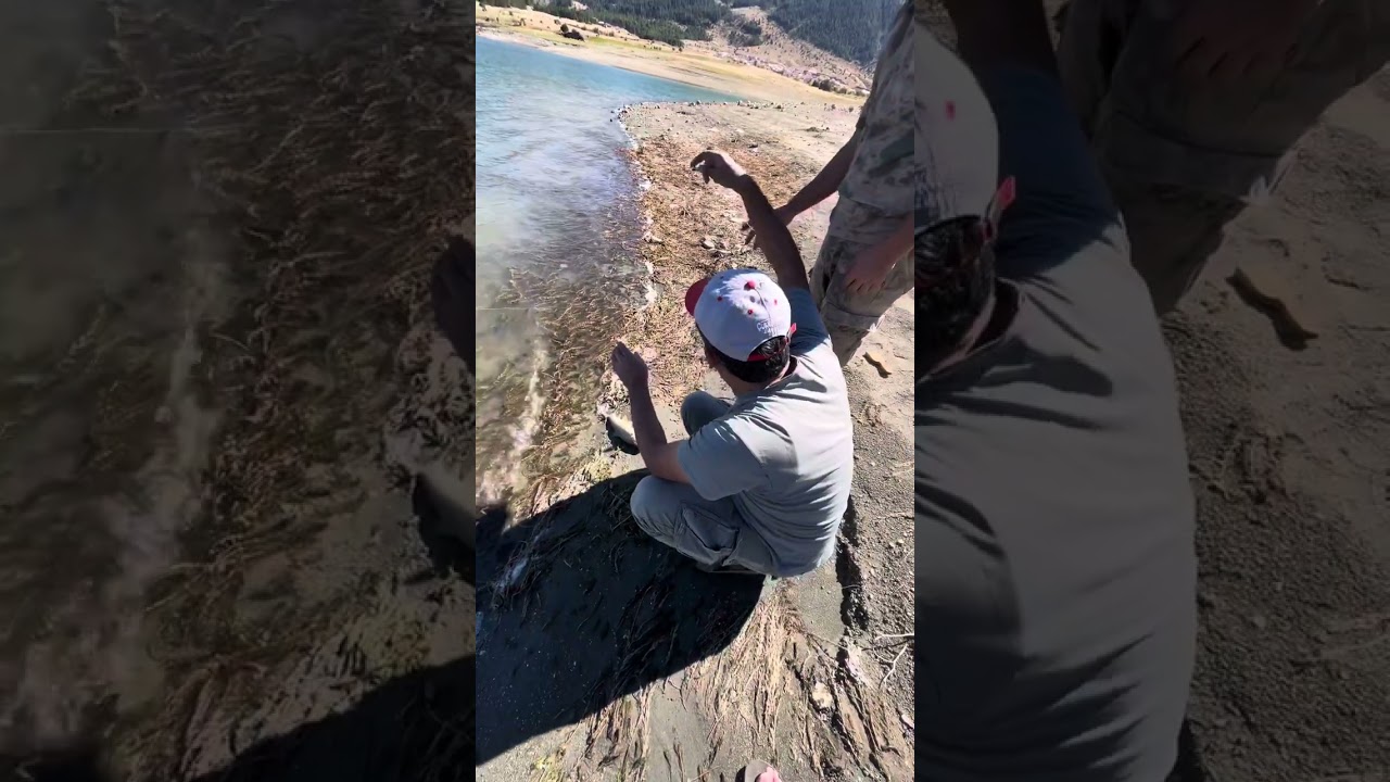 Kahraman Maraş göksün Ada tepe barajı balık avı