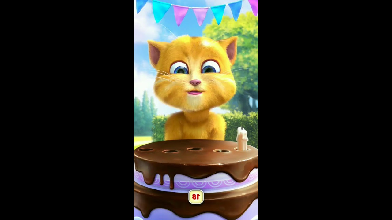 Talking Ginger Live Streaming