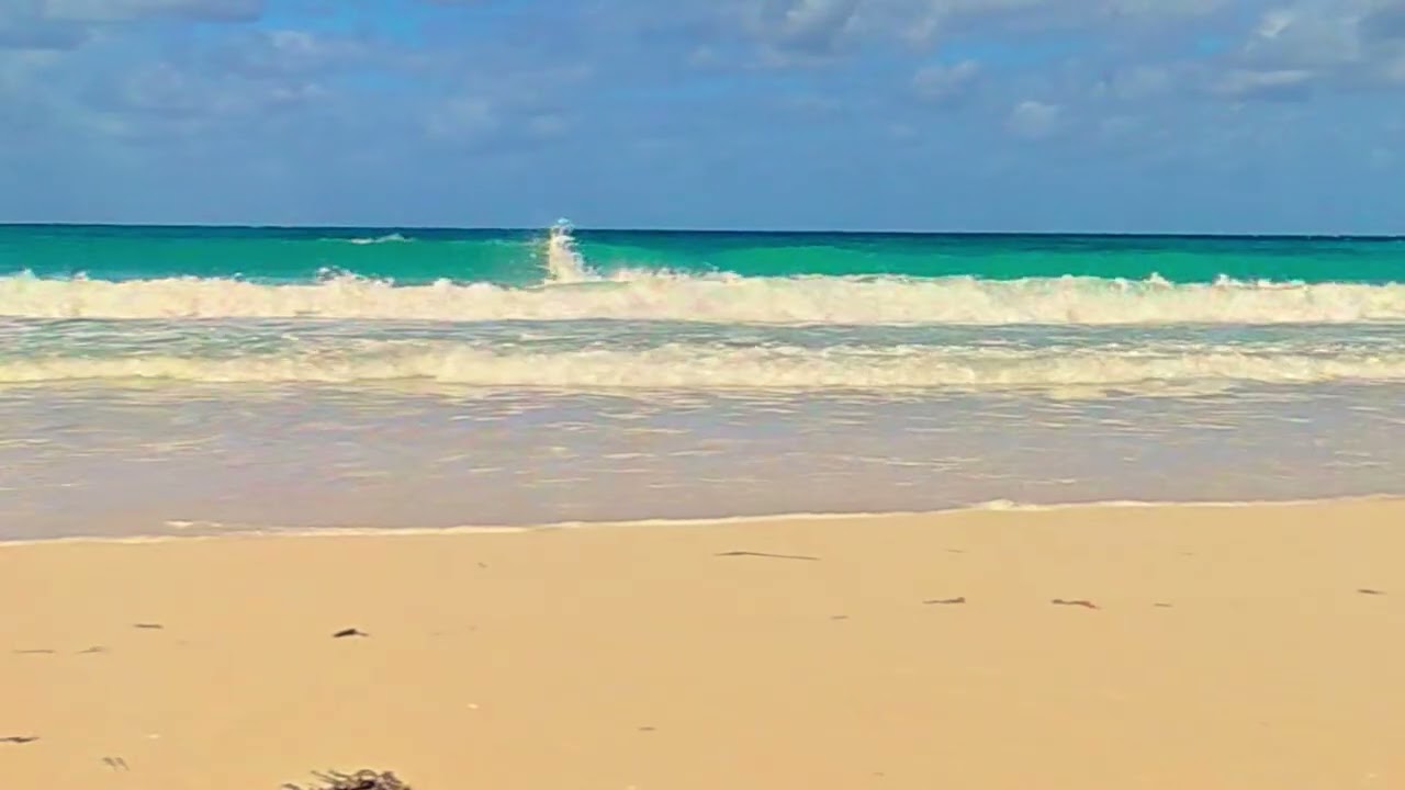 On the Beach.