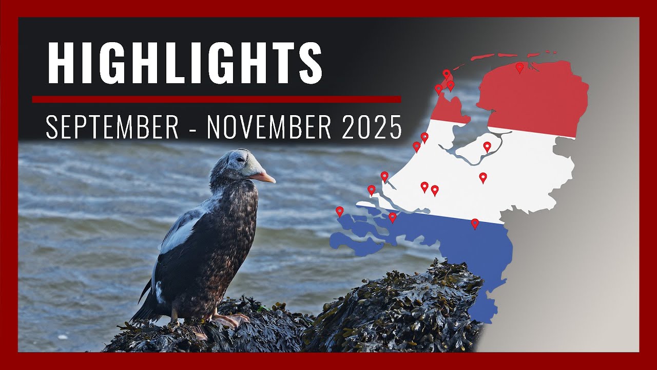 Highlights September till November 2025