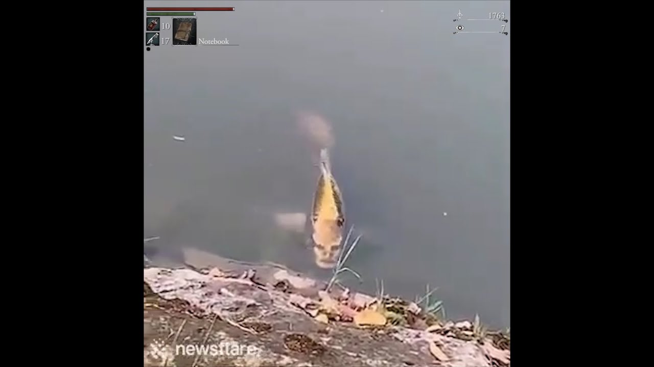 Today in Yharnam