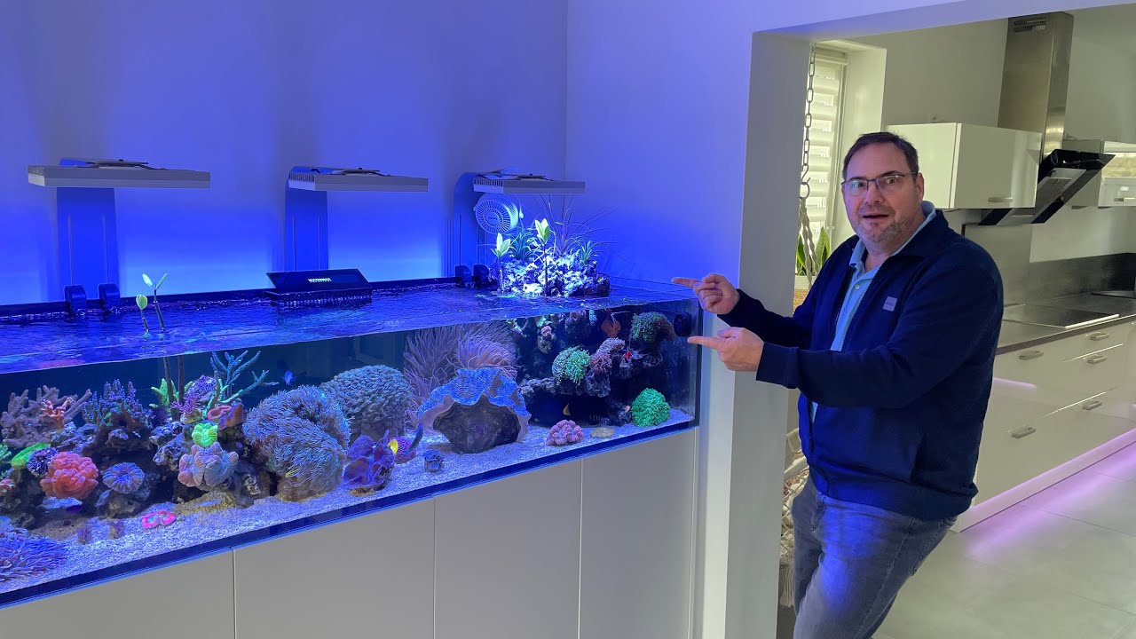 Das Shallow Reef von Michael in Sinzig - Teil2 - Waterbox FRAG Tank