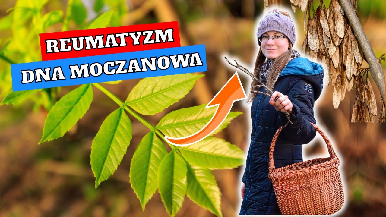 Usuwa KWAS MOCZOWY - Skuteczny Na DNĘ MOCZANOWĄ i REUMATYZM