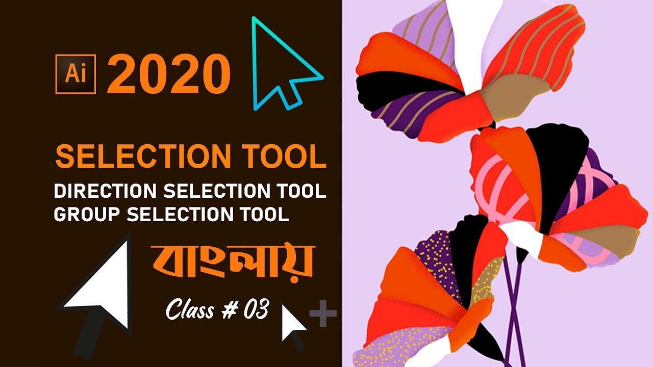 Adobe Illustrator 2020 | Selection Tool | Direct Selection Tool | Group Selection Tool | Class # 3