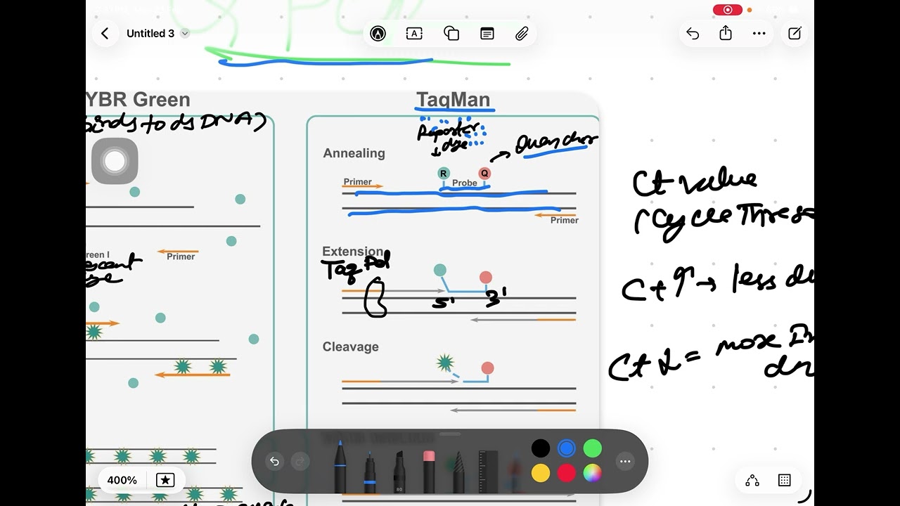 TECHNIQUE (Sequencing methods,EMSA,SSCP,TAQMAN,QPCR) 