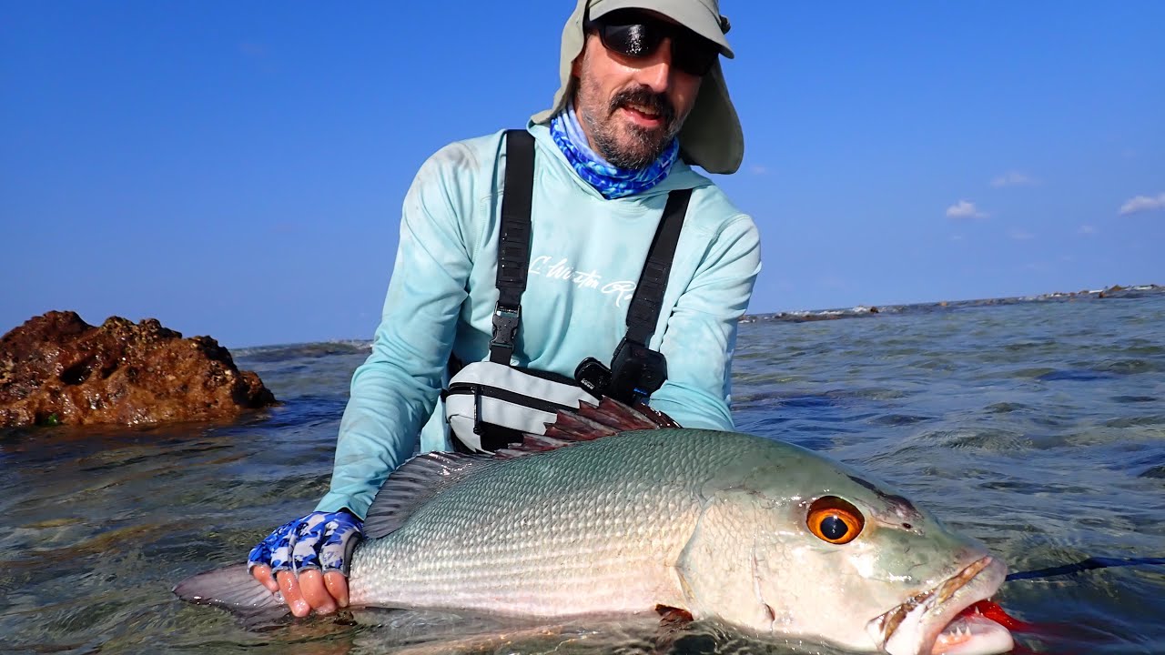 GEETS & SNAPPER from the REEF / FLY FISHING in the MALDIVES