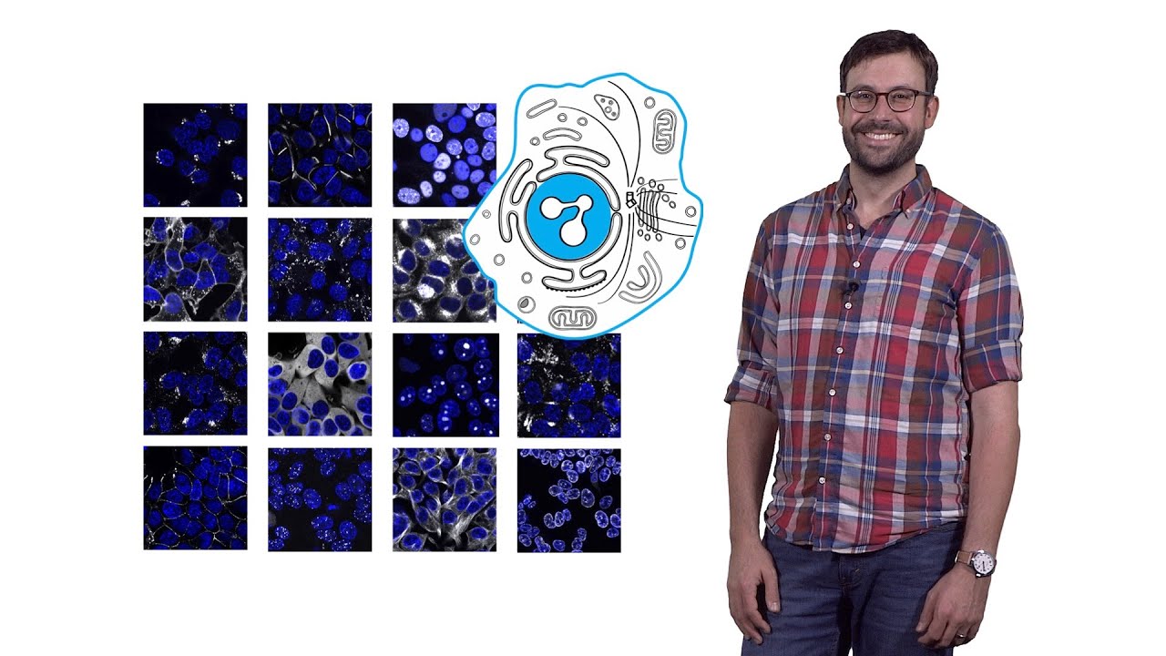 Manuel Leonetti (CZ Biohub): Functional Genomics: Systematic Approaches for Mapping the Cell