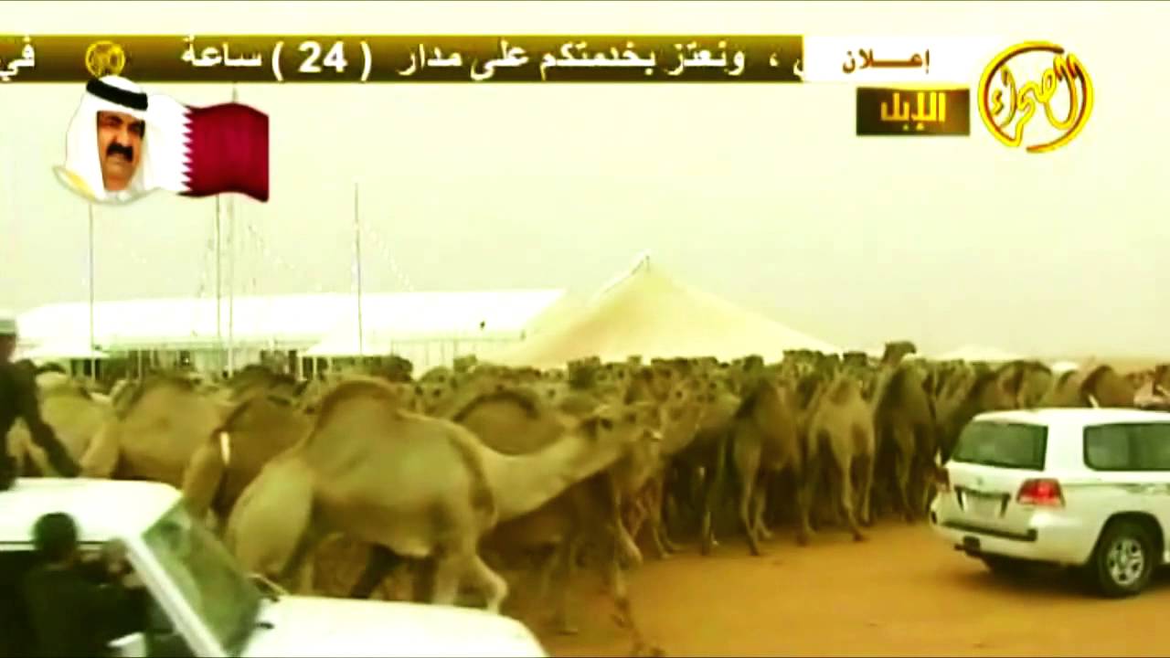 منقية : خالد اللحياني - كلمات : فارس الصحراء