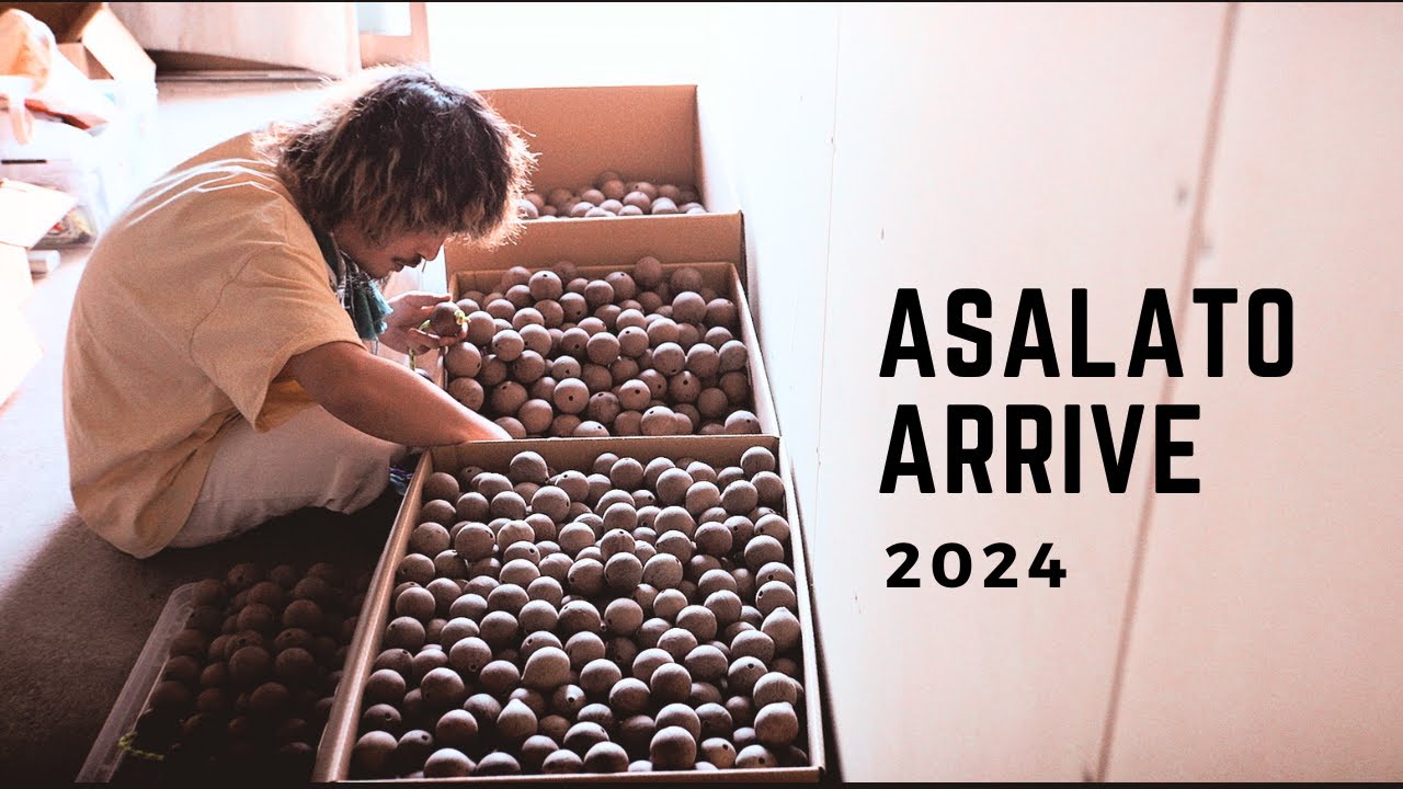 ASALATO Arrive 2024 | 到着 | Tsukamocchan