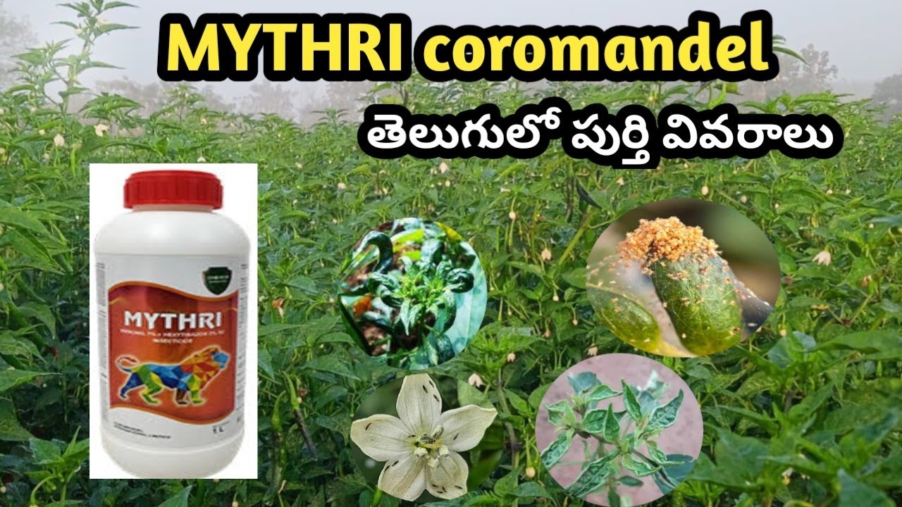 MYTHRI(Fipronil 7+hexythiazox 2)coromandel,cubex power,mantle full details in telugu