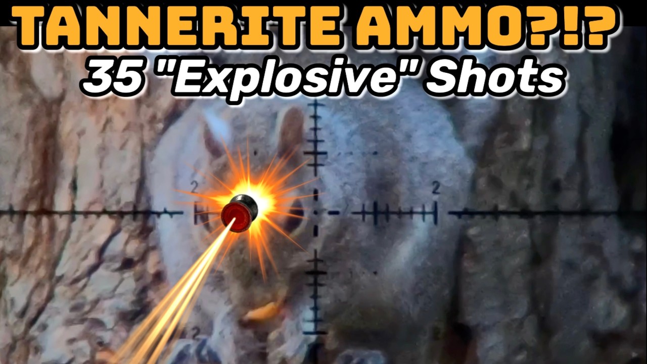 35.3 Shots with Tannerite Ammo.  Trust me, you want to see this