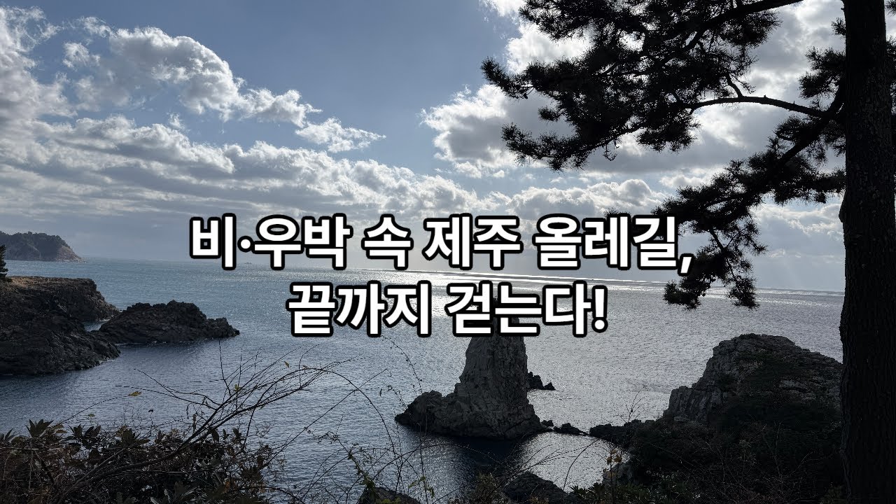 2025년 겨울 제주 올레길 트레킹_첫째날