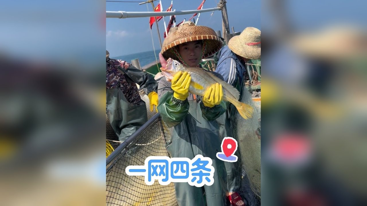 喂，又爆了一网4条呀