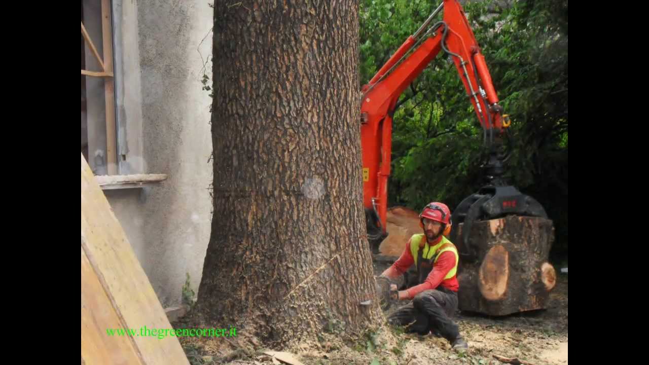 Cut down 2 big  trees (also vertical speedline)