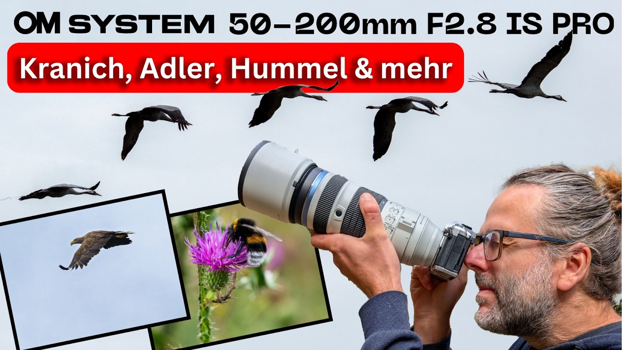 Unterwegs mit dem OM 50–200mm F2.8 IS PRO – Sau gut. Aber lohnt sich das?