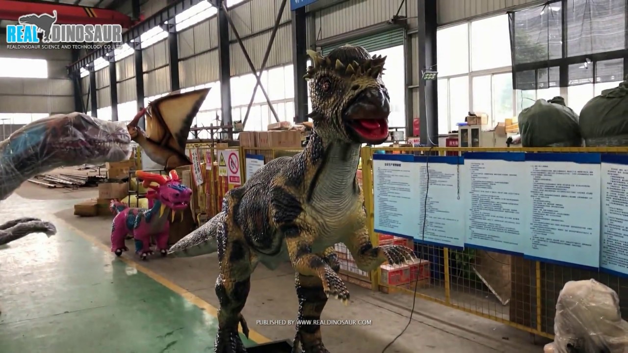 5m animatronic dinosaur model of Pachycephalosaur in realistic colors