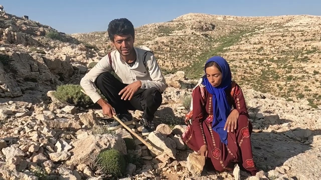 Grazing sheep in the mountains and watching beautiful nomadic landscapes