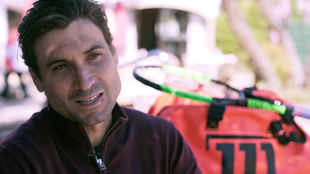 Un paseo por la carrera de David Ferrer