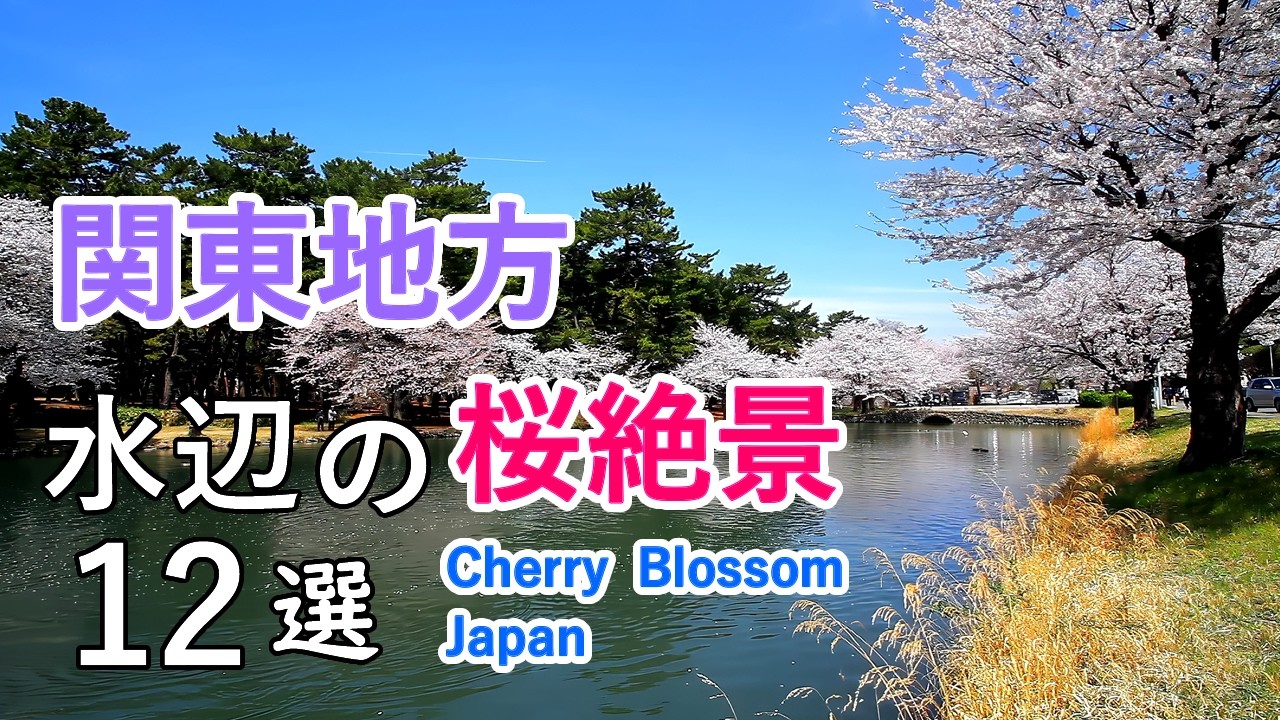 関東の桜名所！水辺の桜絶景ベスト12選  / 井の頭公園・上野公園・三ツ池公園など / Best 12 Cherry Blossom Viewing Spots in Kanto, Japan