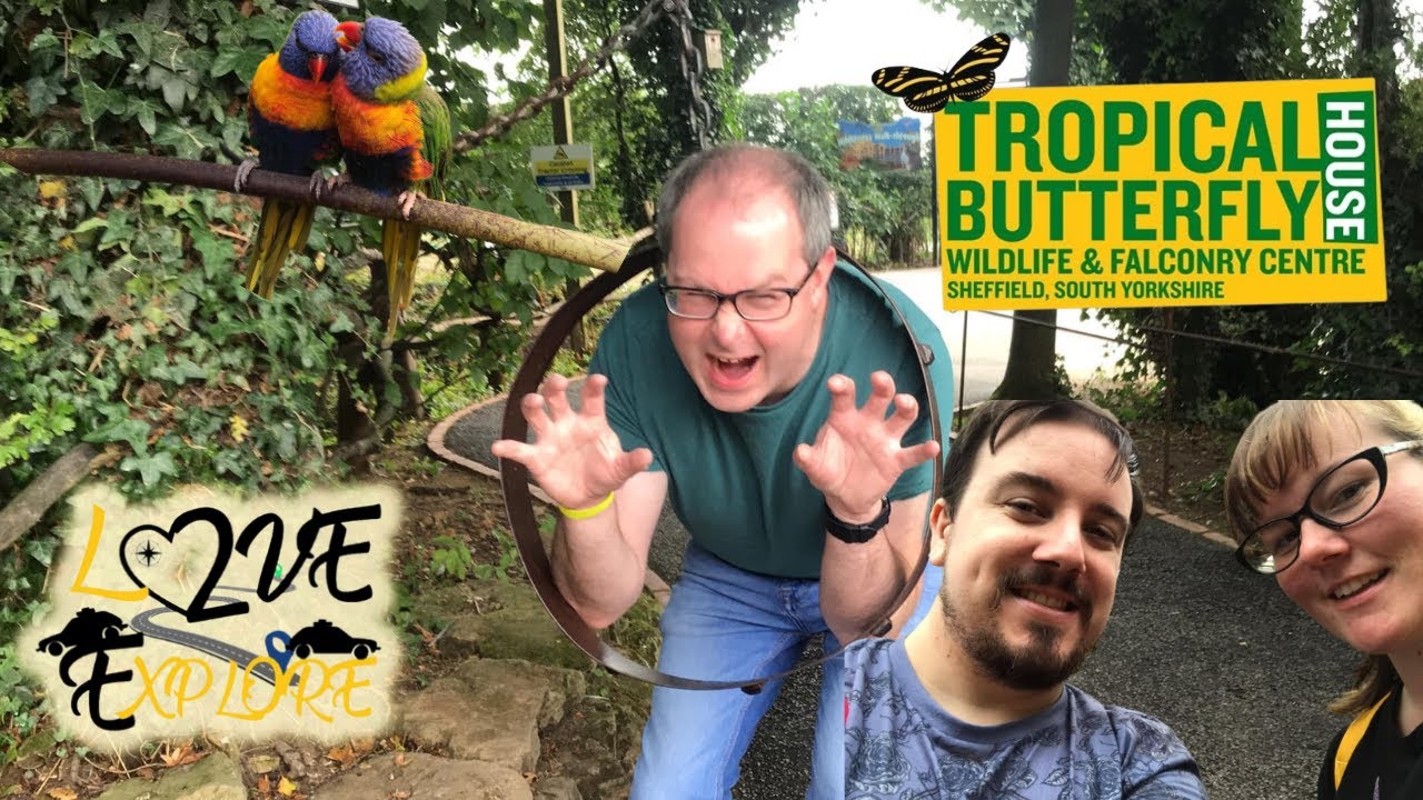 Tropical Butterfly House Wildlife & Falconry Centre | Anston, Sheffield