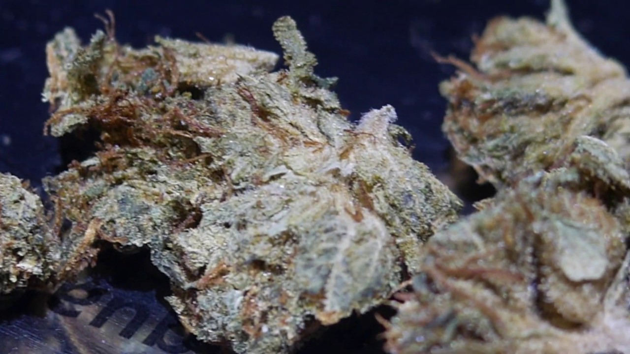 True OG - Strain Review