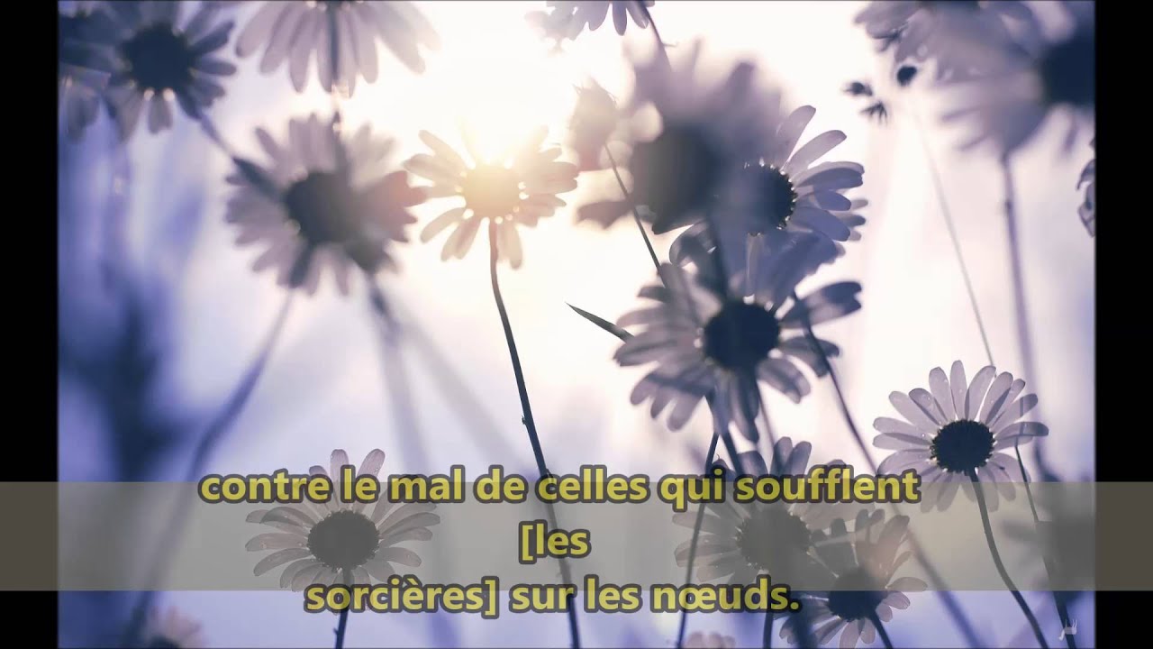 Sourates :  Al-Ikhlas, Al-Falaq, An-N&acirc;s Par Ibrahim Al Jibreen HD