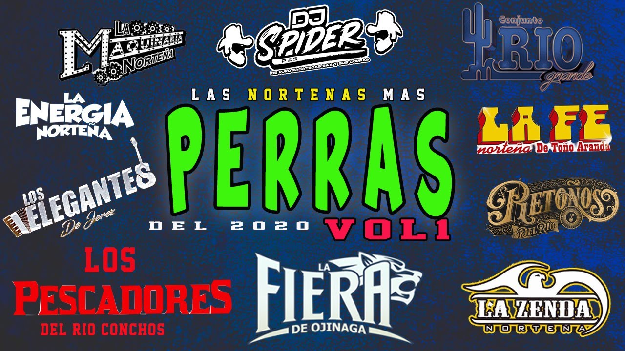 Las Nortenas Mas Perras del 2020 (dj spider )