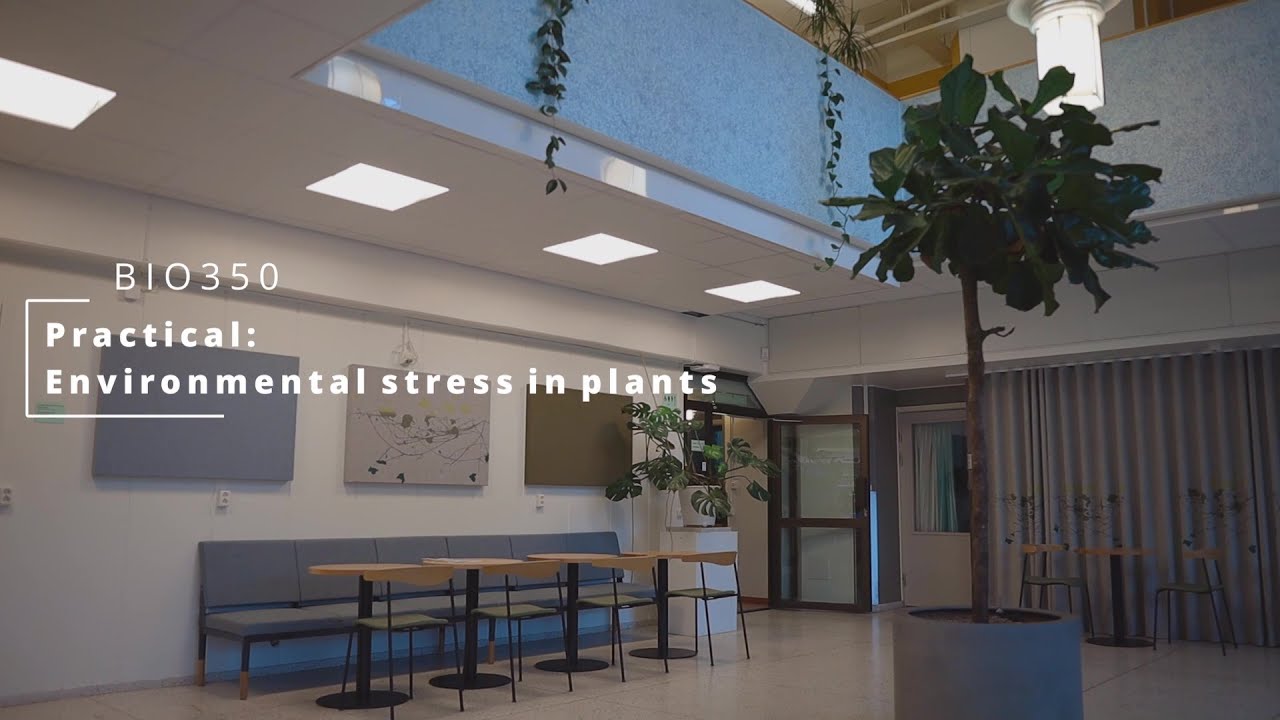 BIO350- Practical: Environmental stress in plants.