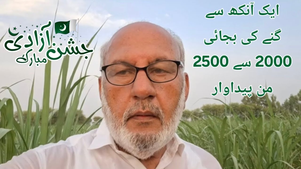 Sugarcane Vertical bud Planting method in Pakistan | Part 1 | MRS Farm TV