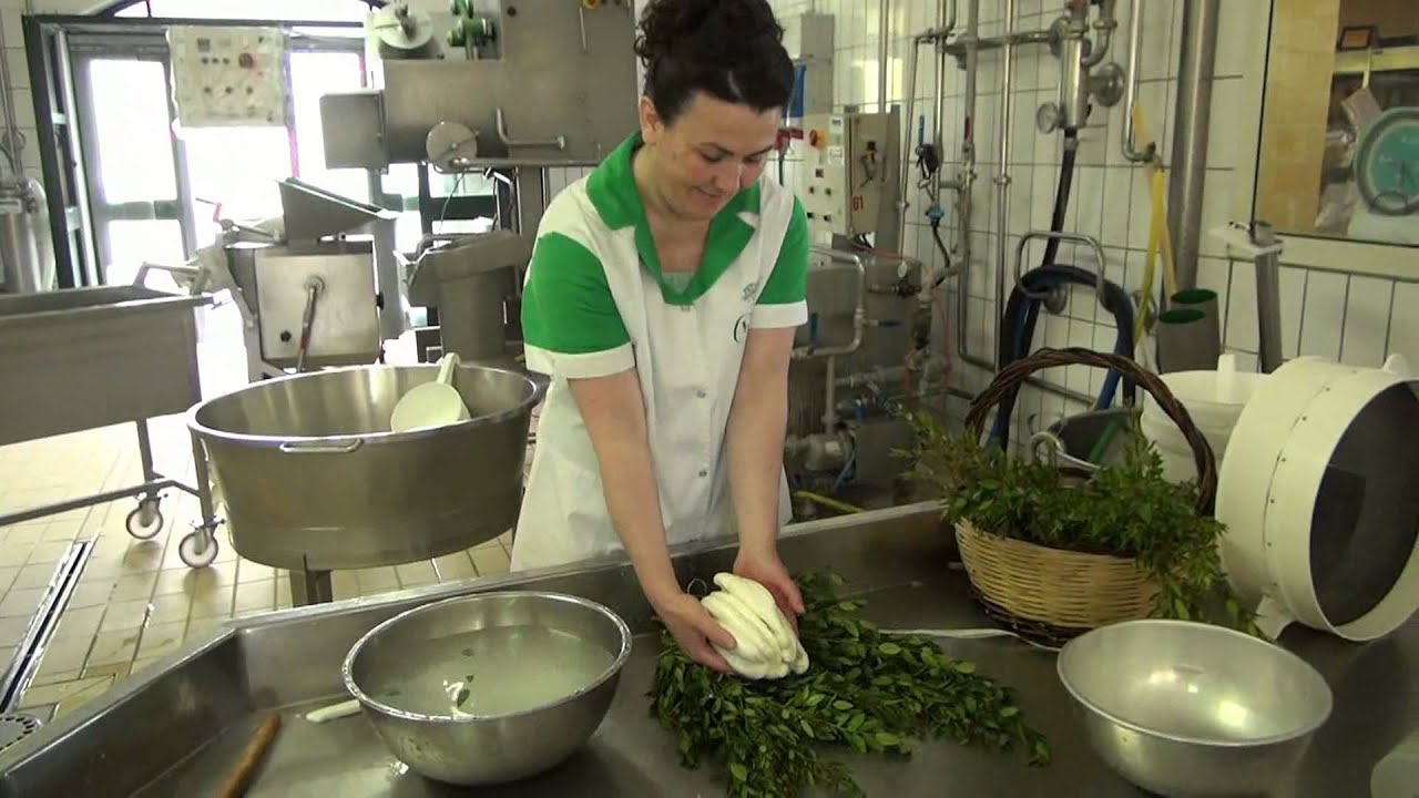 La produzione della mozzarella nella mortella al Caseificio Chirico