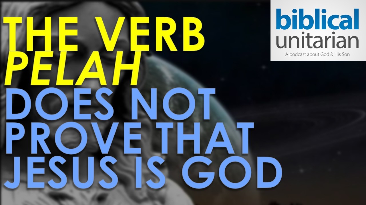 The Verb 