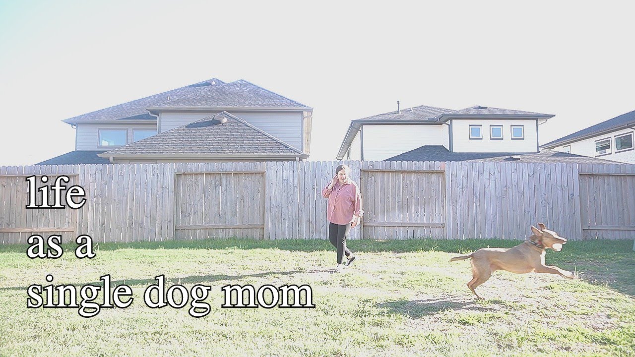 life as a single dog mom