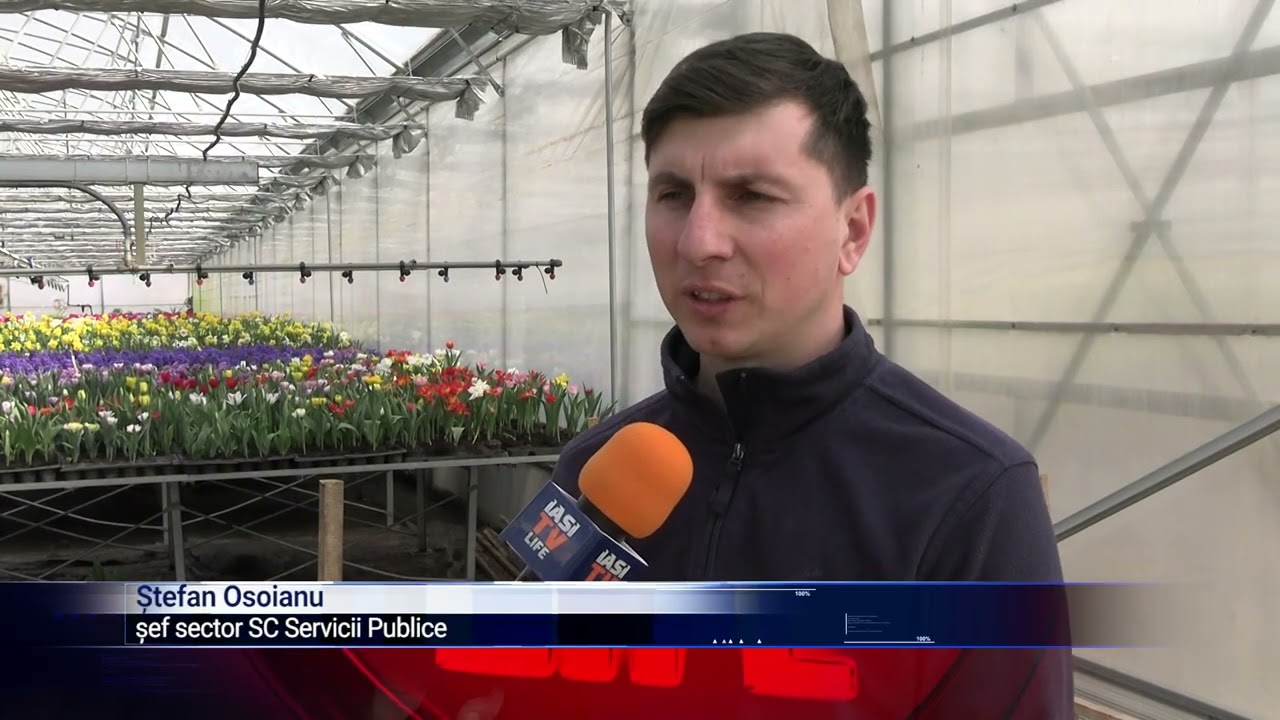 Spectacol floral în pregătire