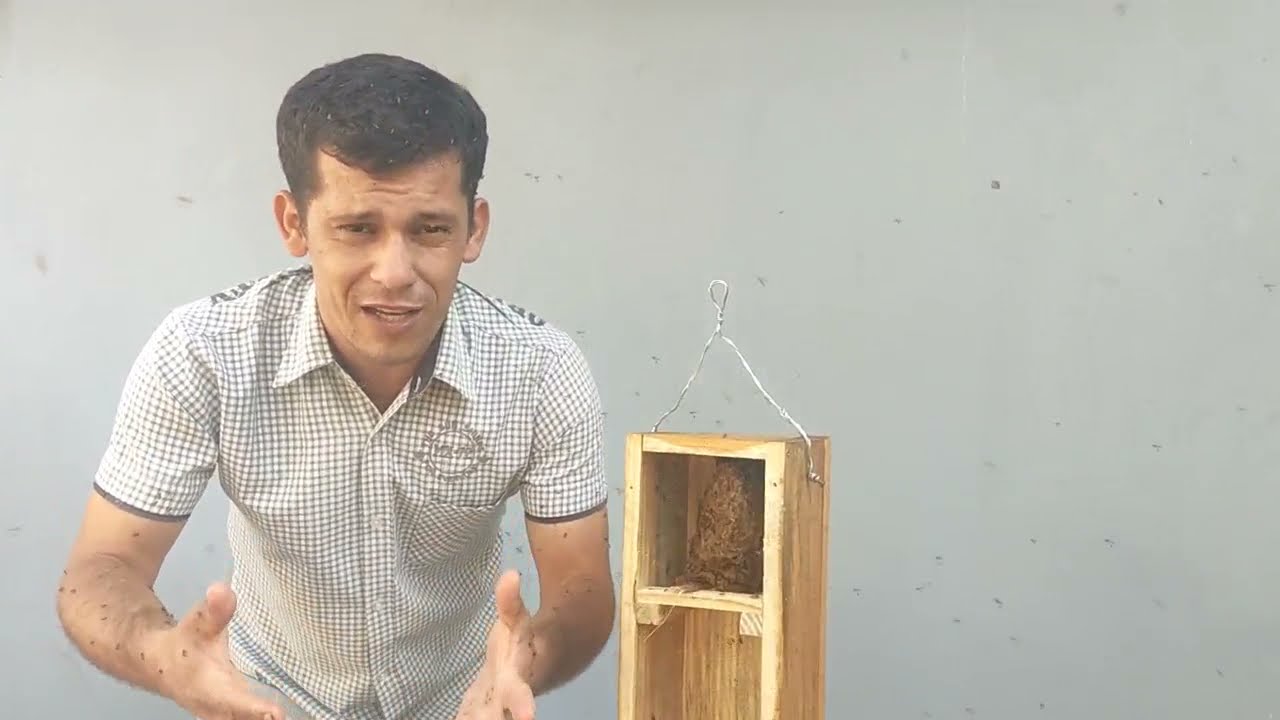 ABELHA JATAI / CAIXA WF  vertical PRODUÇÃO DE MEL