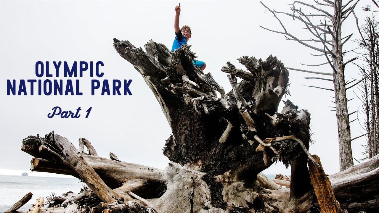 Olympic National Park Part 1 - Hoh Rainforest & Rialto Beach