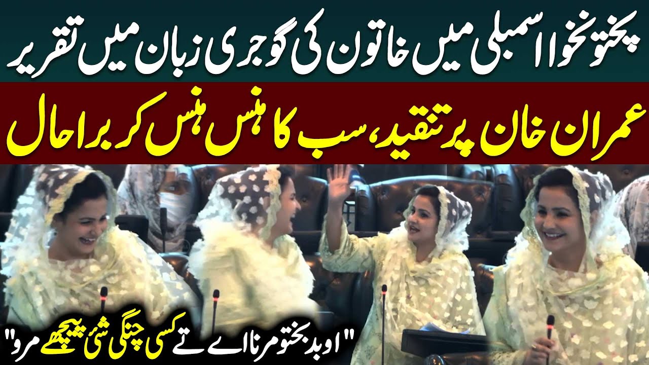 Hilarious Scene in KPK Assembly | Member ki Gojri Zuban Mein Taqreer | Public News