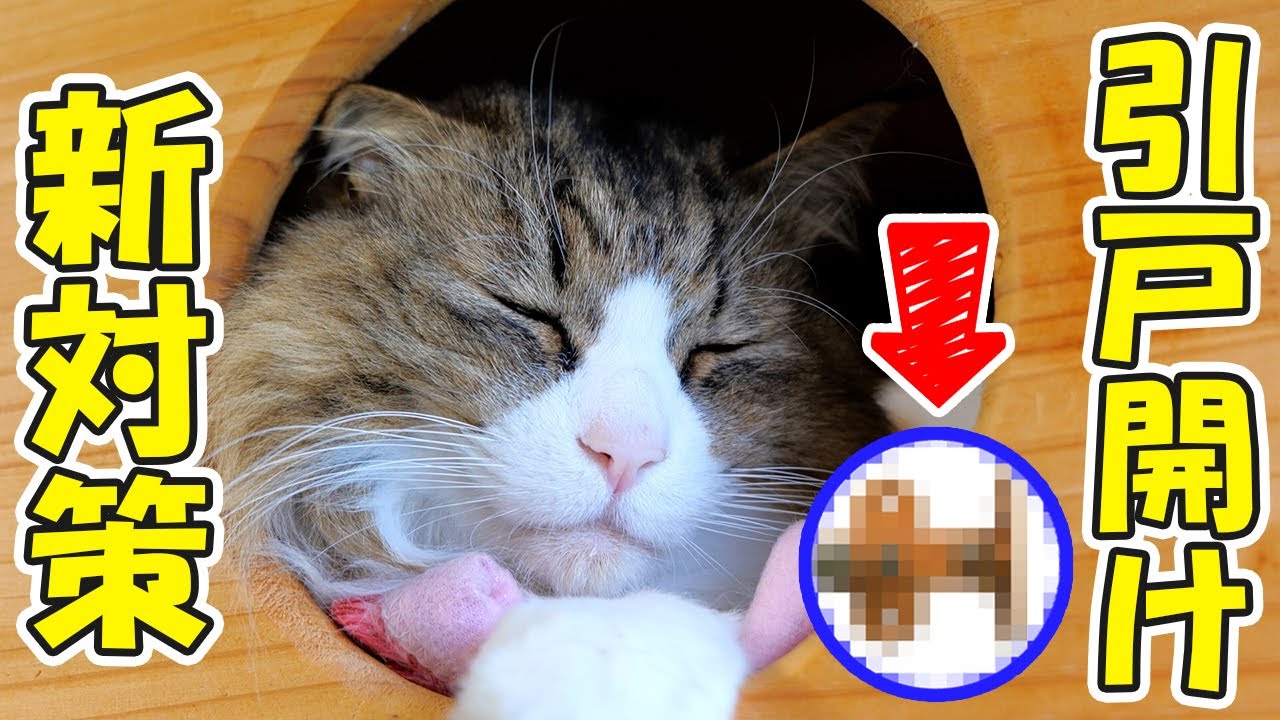 ボス吉が押入れの引戸を開けて大変な事になっていたので新アイテムを試してみました！【猫の引戸開け防止🐈対策】