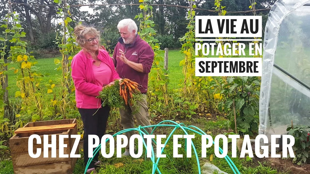 LA VIE AU POTAGER EN SEPTEMBRE