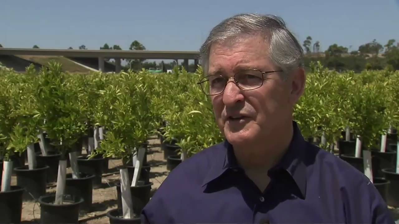 California's Orange County Great Park