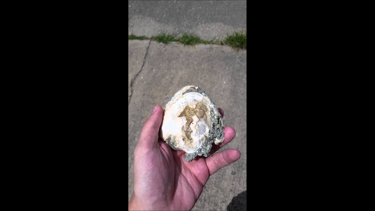 Calcite Crystals on Closed Clam Shell