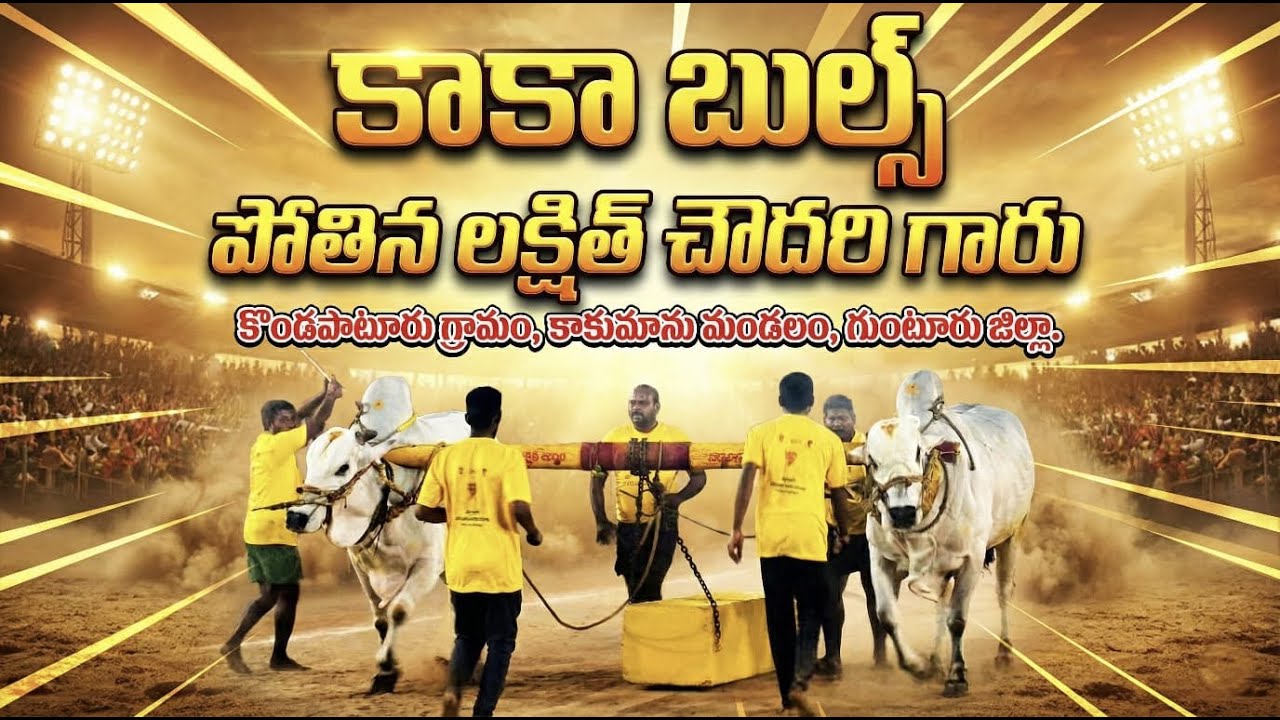 🚩5/2/2026నాదెండ్ల  జూనియర్స్ 1జత Kaka bulls పోతిన లక్షిత్ చౌదరి గారు కొండపాటూరు కాకమాను మ గుంటూరు