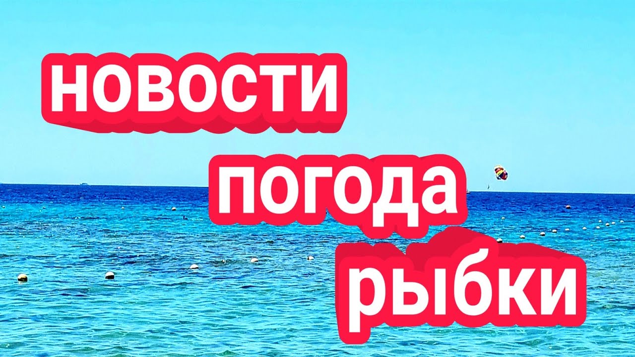 Шарм эль Шейх 2021 г. Новости. Погода. Экскурсии - работаем. Под водой.