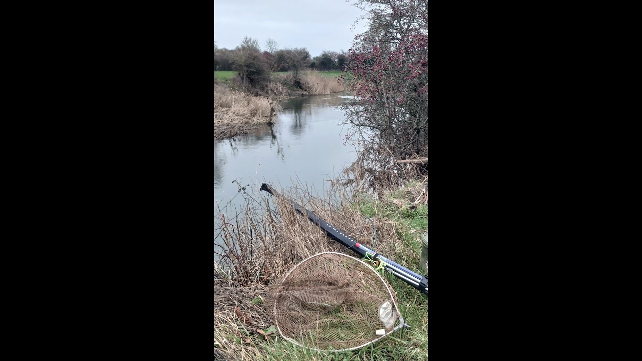 Winter Chub Fishing - my day in the Wiltshire Country side.