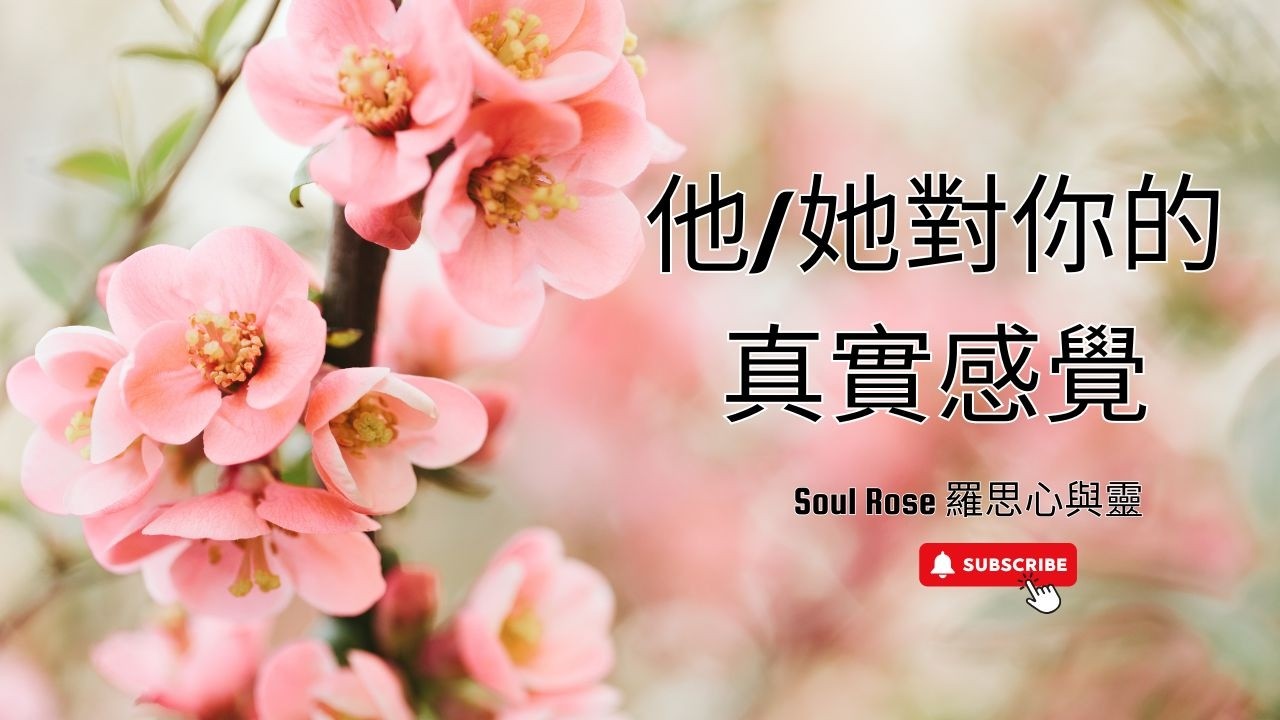 💞🌹 Soul Rose 塔羅占卜: 他/她現在對你的真實感覺?🌹💞 (不限時間)