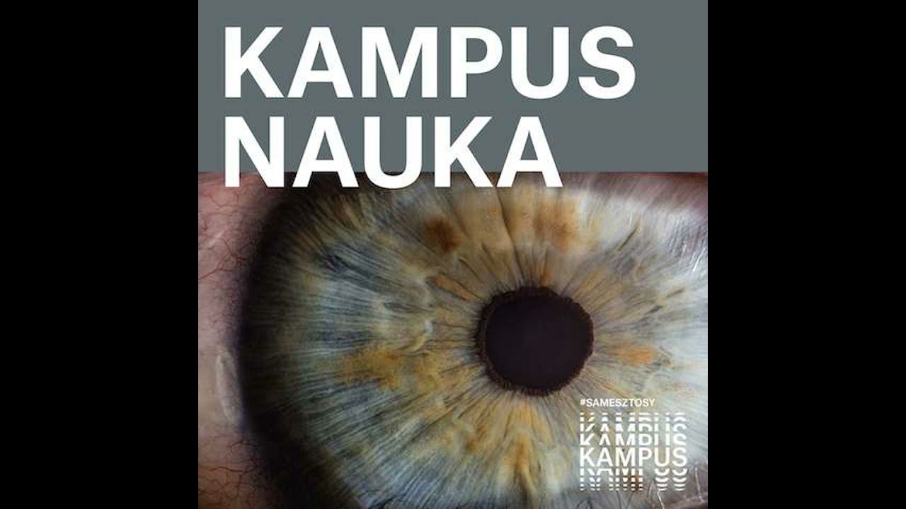 Drapieżna ryba spod Tomaszowa. Ślad sprzed 148 mln lat