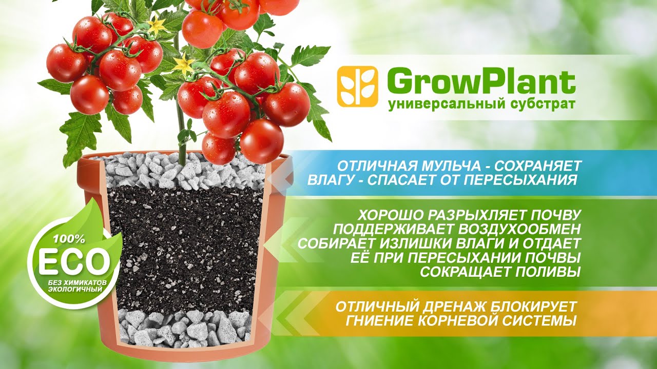 GROWPLANT - ИННОВАЦИОННЫЙ СУБСТРАТ ДЛЯ ВСЕХ ВИДОВ РАСТЕНИЙ