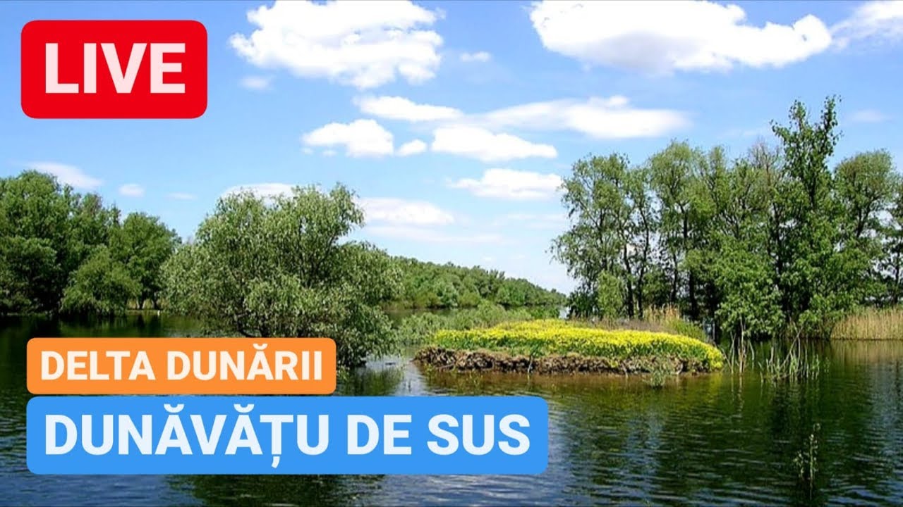 🔴 LIVE din DUNĂVĂȚU DE SUS - DELTA DUNĂRII