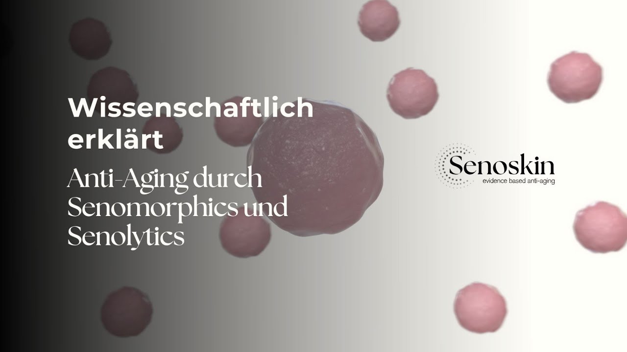 Senoskin - So Funktioniert Anti-Aging mit Senolytics und Senomorphics