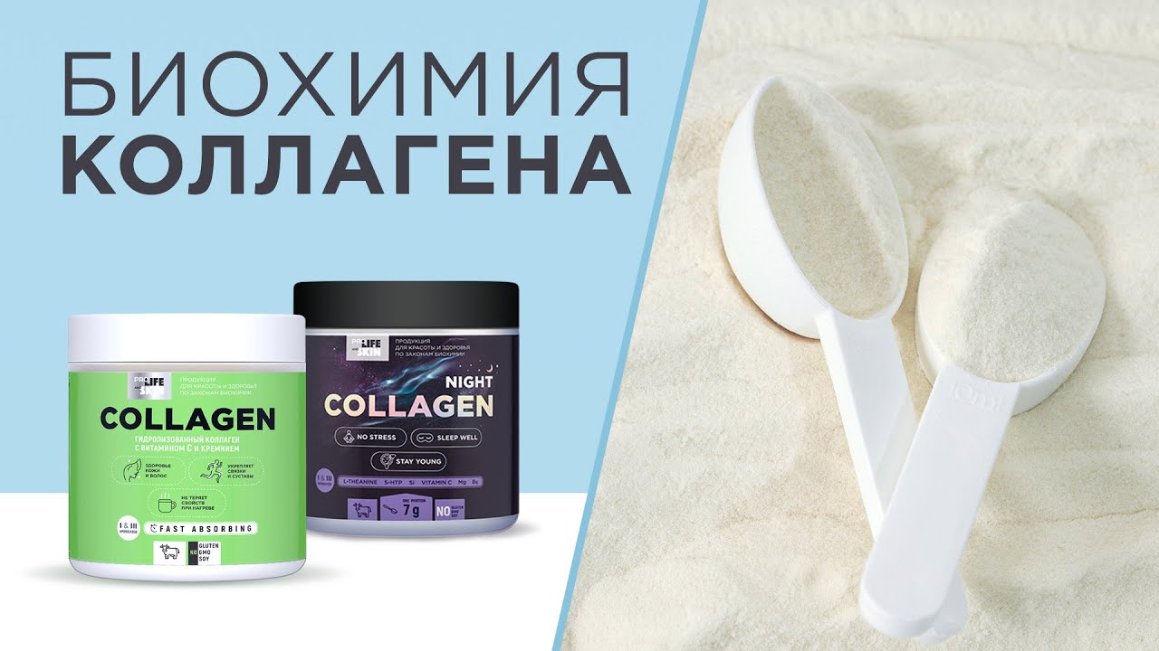 Биохимия коллагена