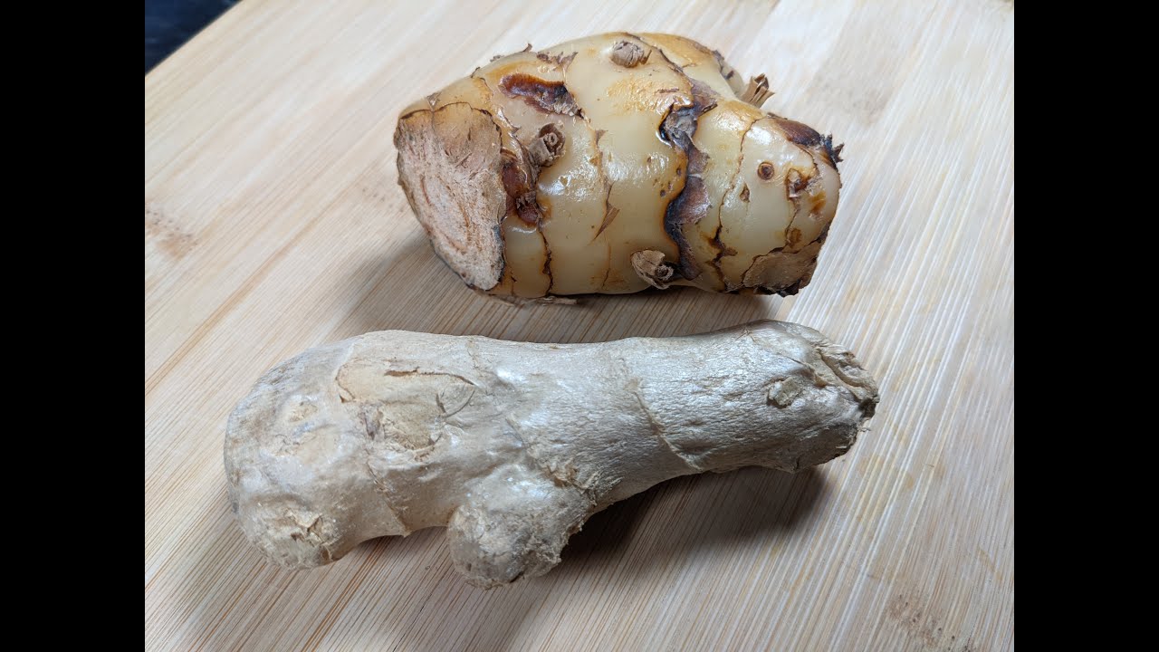 The Difference Between Ginger & Galangal